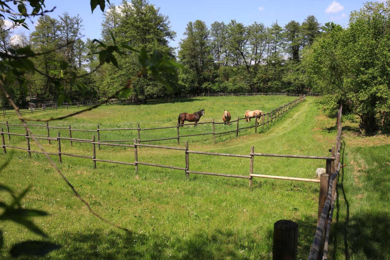 Вилла Amigosranch Крушевац Экстерьер фото
