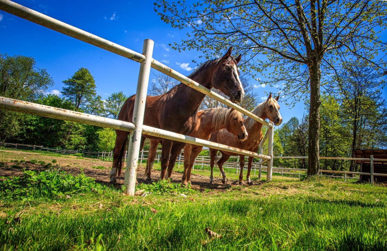 Вилла Amigosranch Крушевац Экстерьер фото