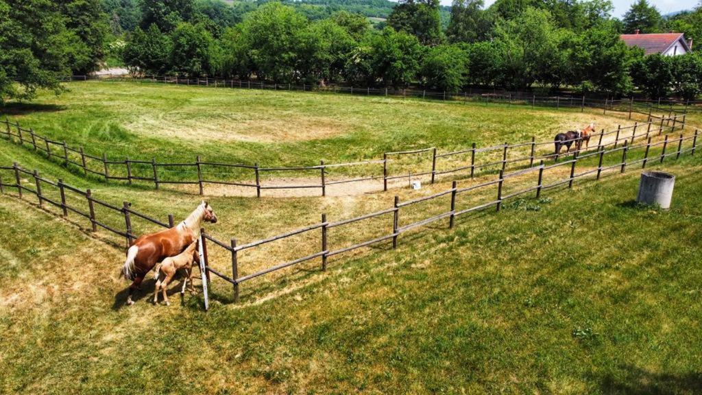 Вилла Amigosranch Крушевац Экстерьер фото