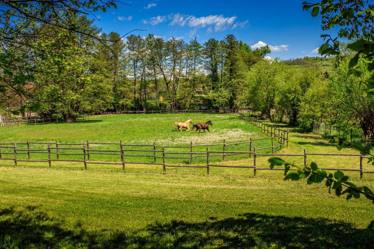 Вилла Amigosranch Крушевац Экстерьер фото